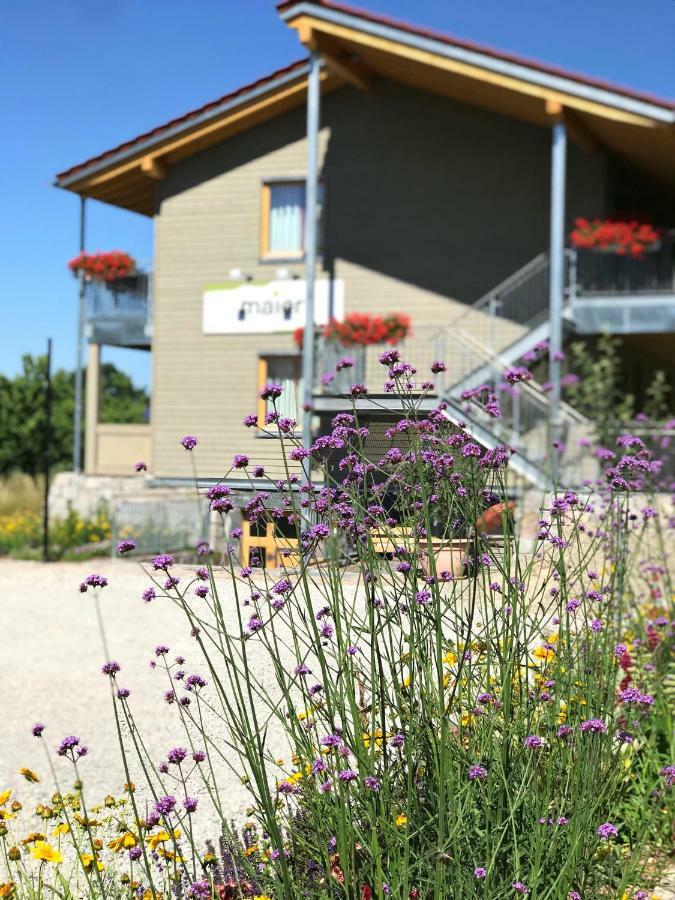 Die Wein Bleibe Baden-Bade Exterior foto